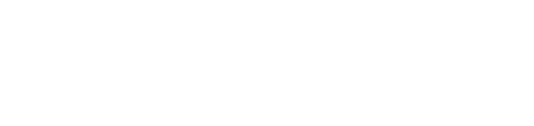 autobiz